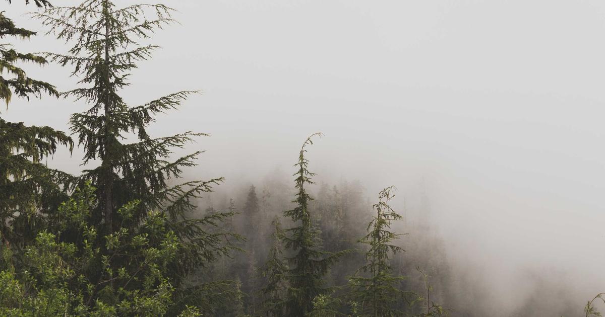 Finding a Dispensary Near Me: A Pain Management Perspective